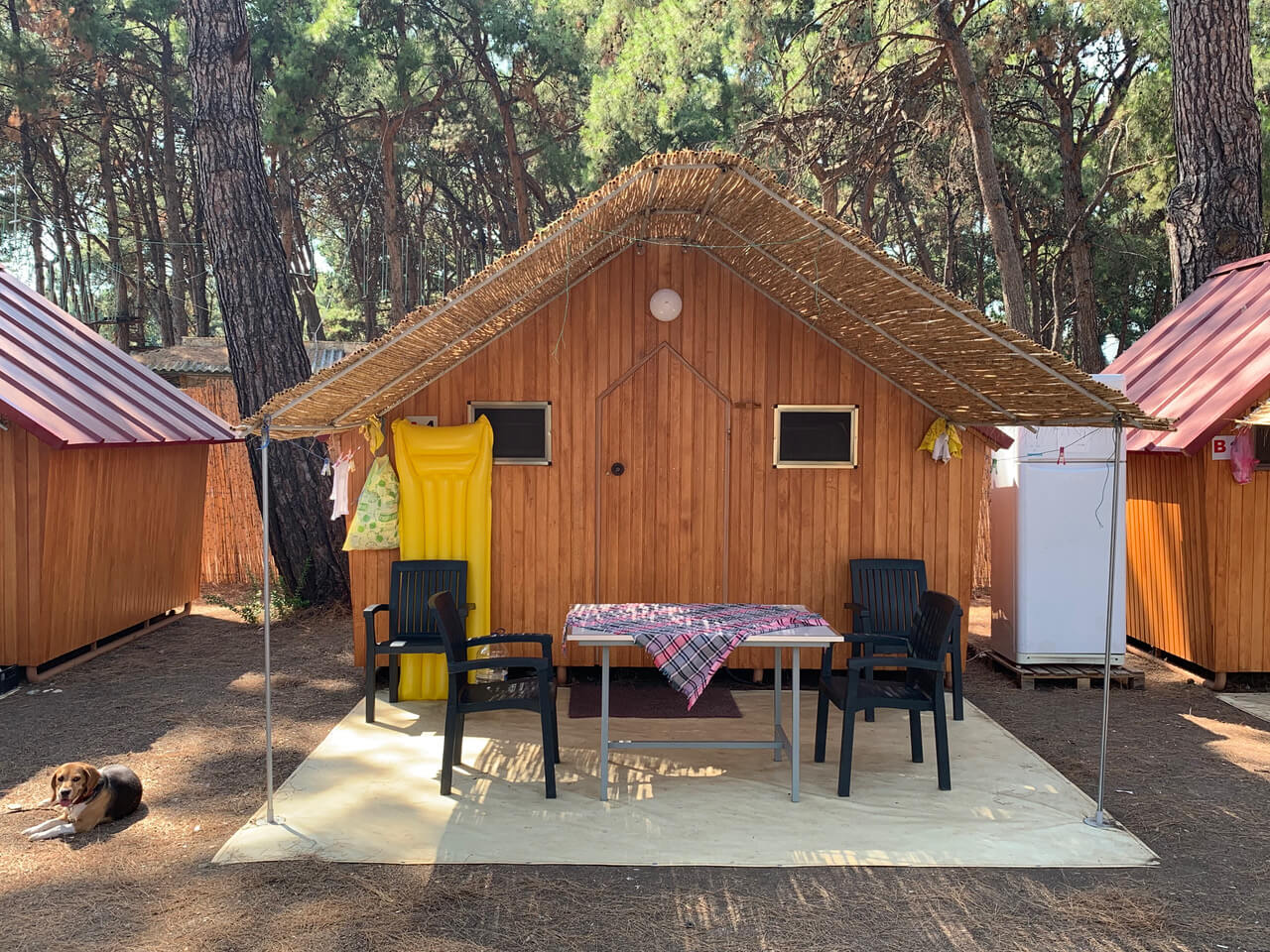 hipocamp camping place gumuldur izmir